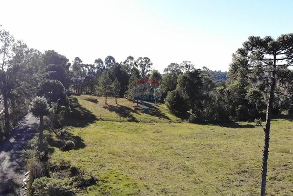 Terreno - Venda - Lages , Santa Catarina - 53731ff0-2819-4ff1-b3a6-5b2e79e9c77b.jpg - 590071041-17