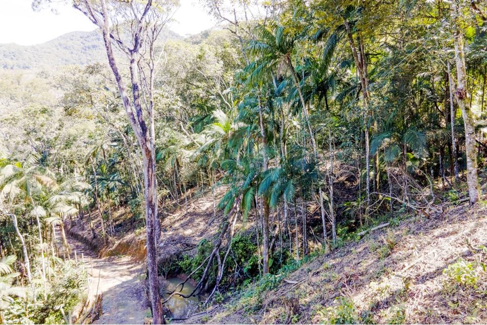 Chácara / Sítio / Fazenda - Venda - Itapema , Santa Catarina - 17 (1).jpg - 590401053-3