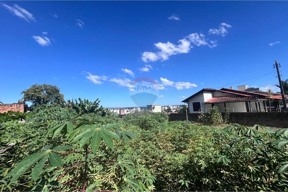 Terreno - Venda - Criciúma , Santa Catarina - WhatsApp Image 2026-04-09 at 14.23.28 (1).jpeg - 590311040-4