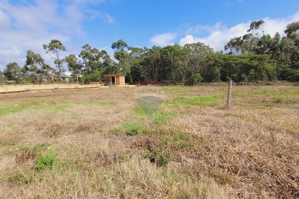 Terreno - Venda - Balneário Gaivota , Santa Catarina - 20250410_102953.jpg - 590491002-29