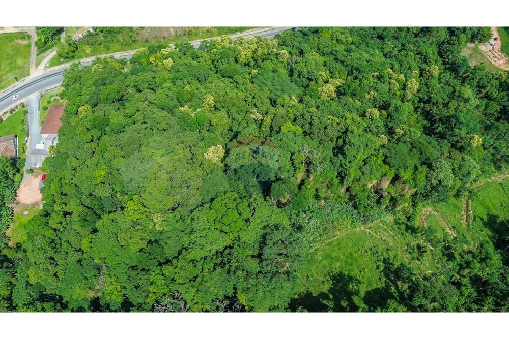 Residential - Nezazidljivo zemljišče - Timbó , Santa Catarina - BR - WhatsApp Image 2025-03-06 at 16.36.10.jpeg - 590211051-18