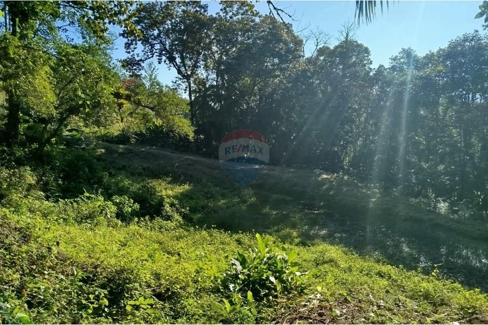 Terreno - Venda - Benedito Novo , Santa Catarina - WhatsApp Image 2025-09-09 at 17.07.53.jpeg - 590301027-106