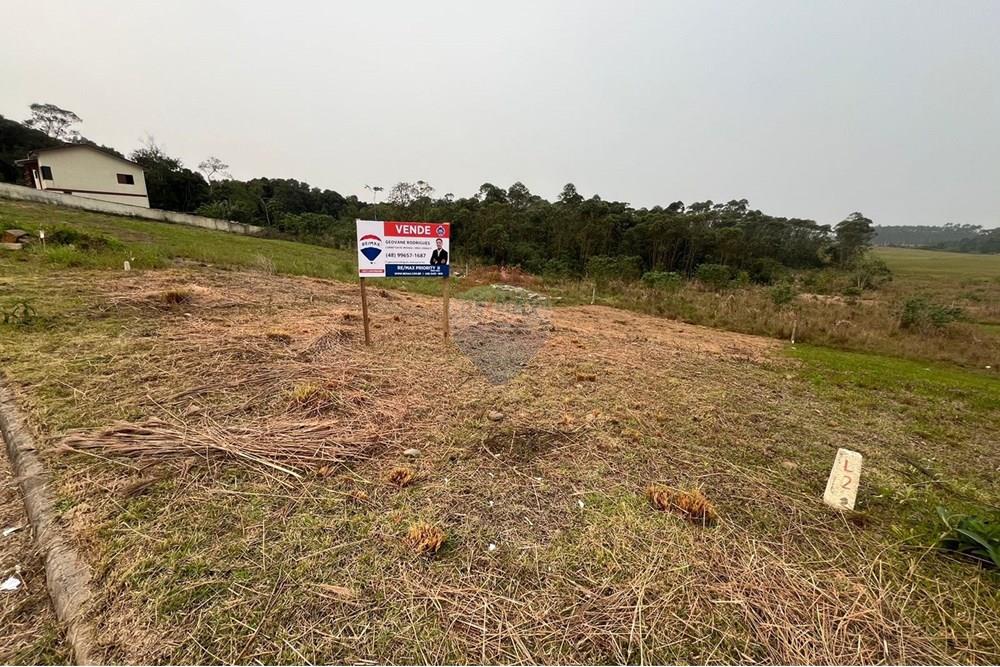 Terreno - Venda - Criciúma , Santa Catarina - IMG-20240910-WA0045.jpg - 590311017-48