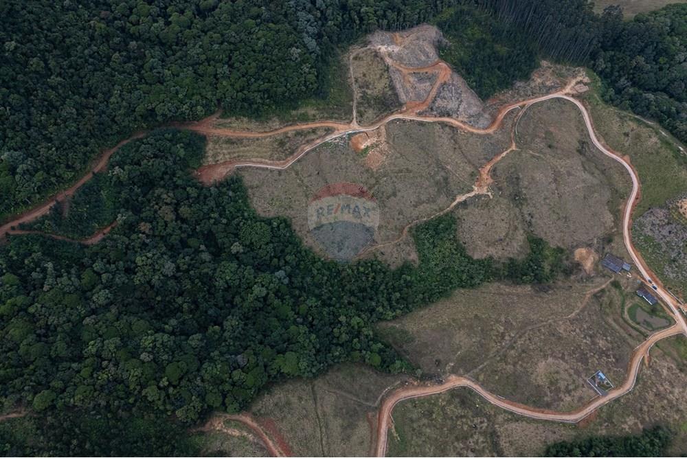 Chácara / Sítio / Fazenda - Venda - São Martinho , Santa Catarina - DJI_20250711081345_0701_D_DJI4.jpg - 590461004-22