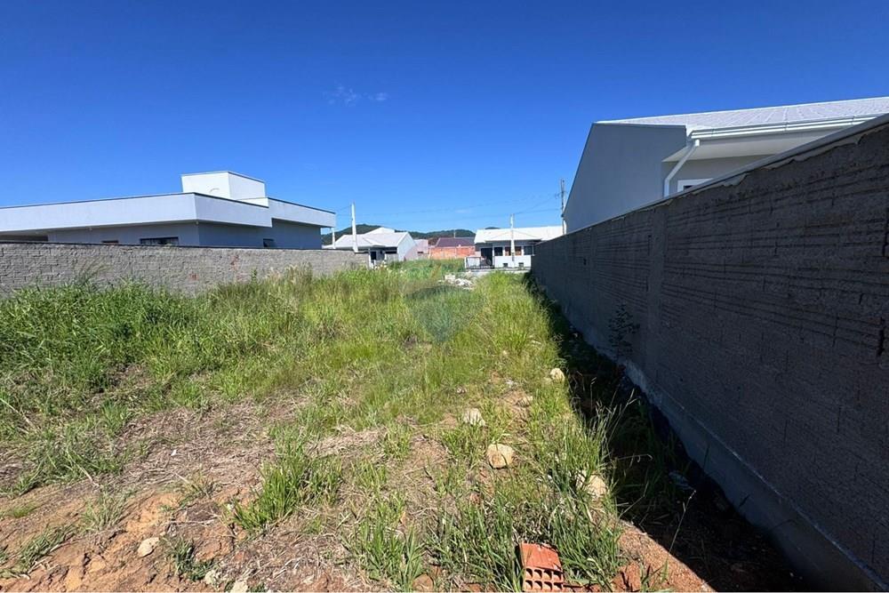 Terreno - Venda - Palhoça , Santa Catarina - WhatsApp Image 2026-03-14 at 08.57.23.jpeg - 590471027-7