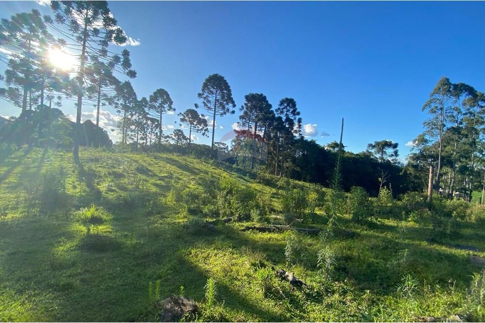 Chácara / Sítio / Fazenda - Venda - Lages , Santa Catarina - WhatsApp Image 2025-07-08 at 16.18.14.jpeg - 590071044-14