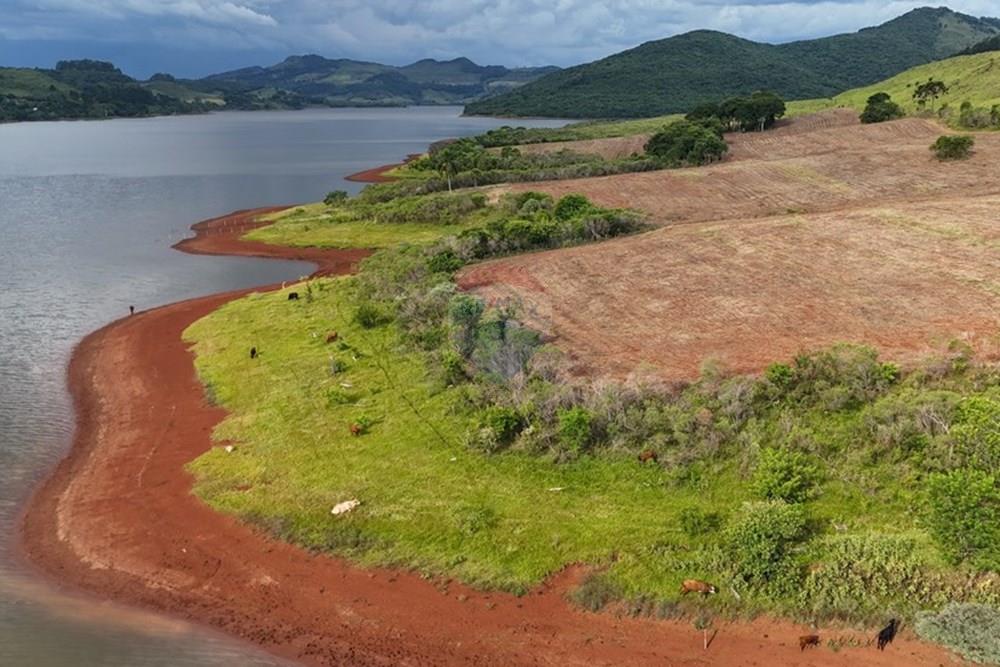Chácara / Sítio / Fazenda - Venda - Cerro Negro , Santa Catarina - dji_fly_20250318_161658_0073_1742342403254_photo.jpg - 590071002-453