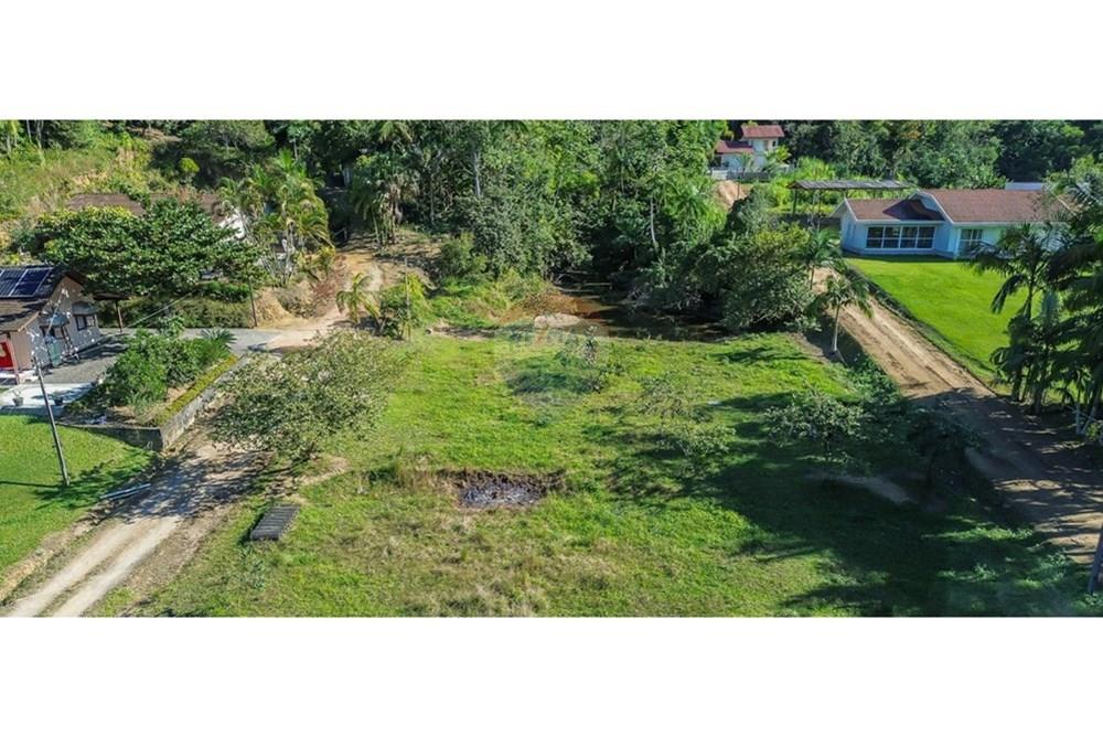Terreno - Venda - Rio dos Cedros , Santa Catarina - a376f8ff-6ac7-45c8-bae3-62895949b13b.jpeg - 590211035-54