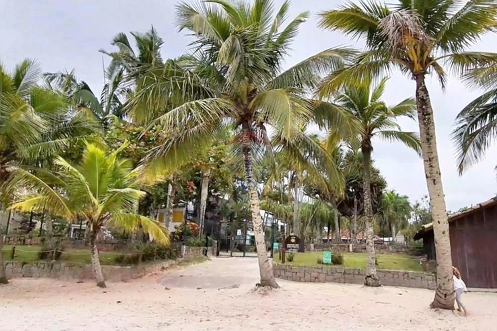 Apartamento - Venda - Florianópolis , Santa Catarina - Praia do condominio.jpeg - 590551017-50