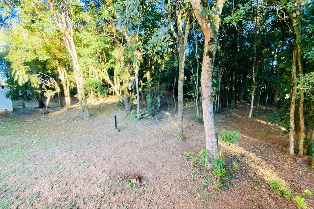 Apartamento - Venda - Criciúma , Santa Catarina - 17.jpg - Quintal - 590311017-37