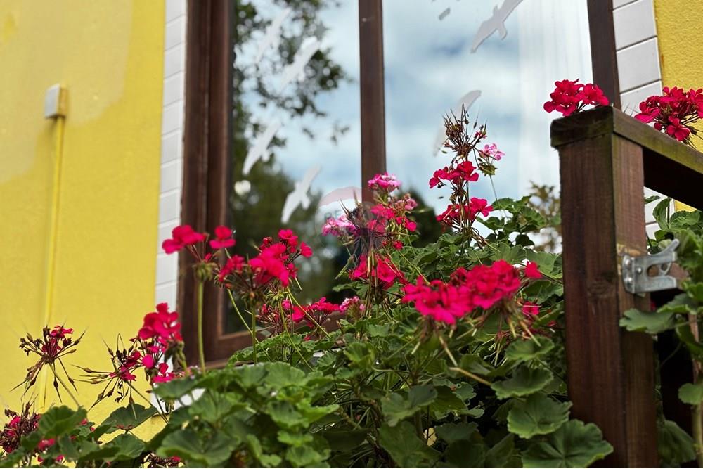 Casa - Venda - Florianópolis , Santa Catarina - IMG_9083.JPG - 590511002-55