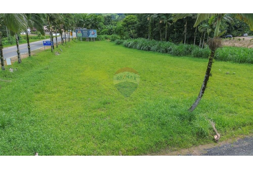 Bostad - Mark - Benedito Novo , Santa Catarina - BR - Imagem do WhatsApp de 2025-02-14 à(s) 13.13.56_17da0a27.jpg - 590211007-95