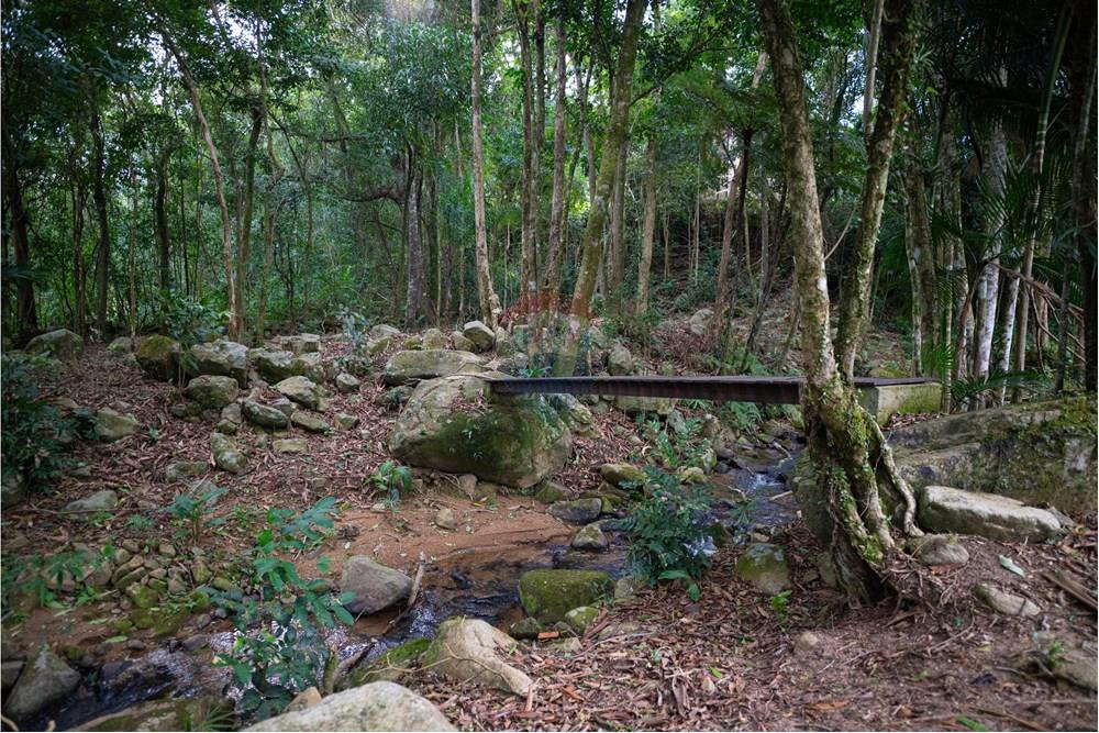 Casa de Campo - Venda - São Martinho , Santa Catarina - NZ5_1956.jpg - 590461004-16