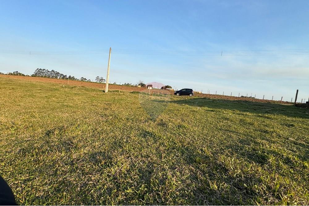 Terreno - Venda - São João do Sul , Santa Catarina - IMG_7398.jpg - 590491012-3