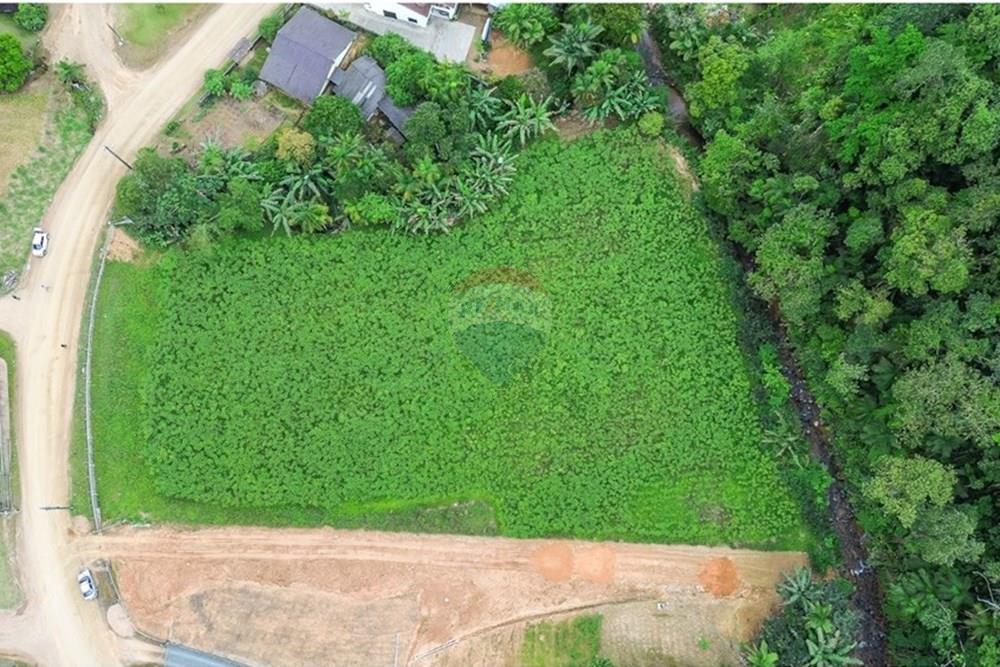 Terreno - Venda - Benedito Novo , Santa Catarina - PHOTO-2025-10-22-16-24-42 (5).jpg - 590211067-7