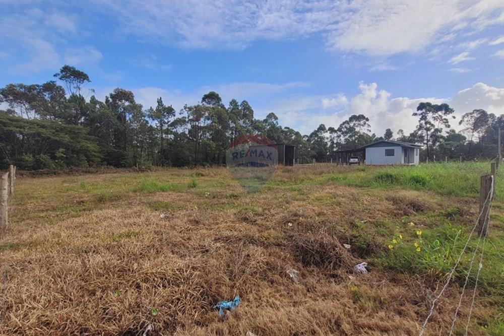 Terreno - Venda - Balneário Gaivota , Santa Catarina - 20250411_085431.jpg - 590491002-30