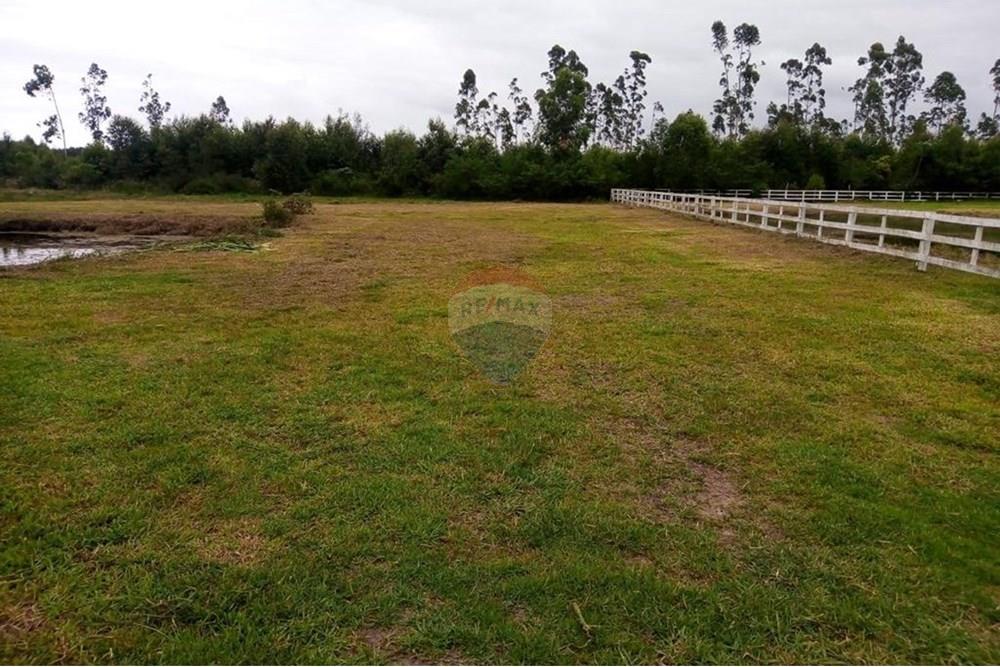 Terreno - Venda - São João do Sul , Santa Catarina - Imagem do WhatsApp de 2025-07-28 à(s) 13.53.42_7172e878.jpg - 590491005-24