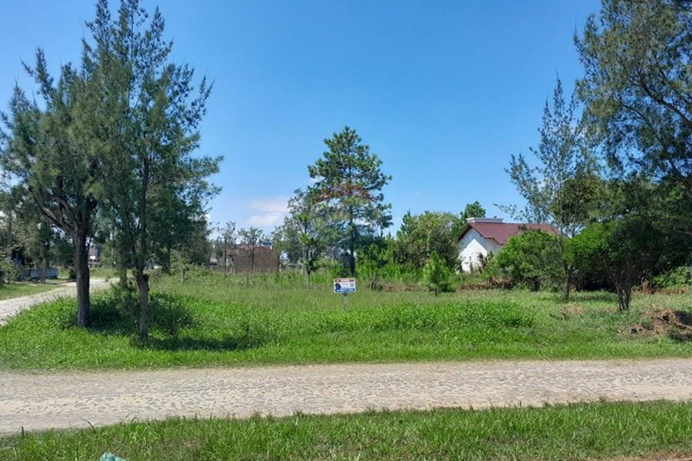 Terreno - Venda - Balneário Gaivota , Santa Catarina - 20260209_133540.jpg - 590491005-37