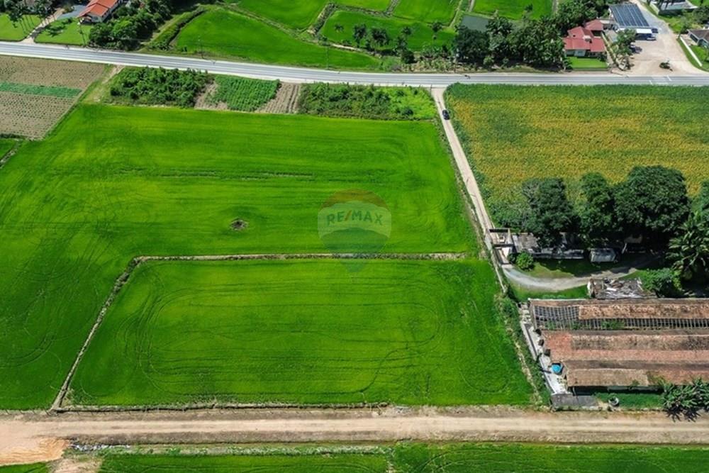 Terreno - Venda - Rio dos Cedros , Santa Catarina - PHOTO-2025-12-05-07-38-17(3).jpg - 590211067-17