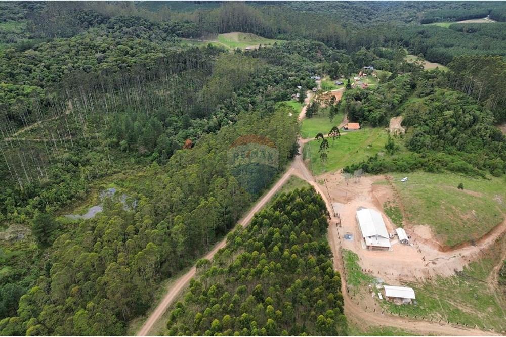 Terreno - Venda - Rio dos Cedros , Santa Catarina - IMG-20251017-WA0033.jpg - 590211067-4