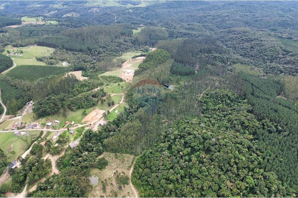 Terreno - Venda - Rio dos Cedros , Santa Catarina - IMG-20251017-WA0034.jpg - 590211067-4