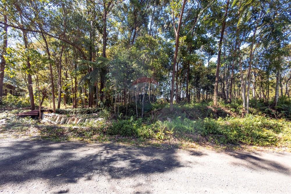 Terreno - Venda - Criciúma , Santa Catarina - IMG_6937.jpg - 590311026-44