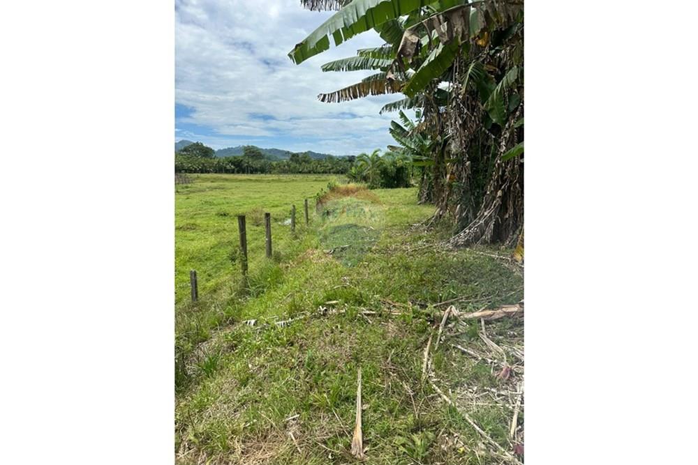 Terreno - Venda - Indaial , Santa Catarina - 764dc0bd-3aae-4c70-8cd0-63d3f5a41a25.jpeg - 590301007-66