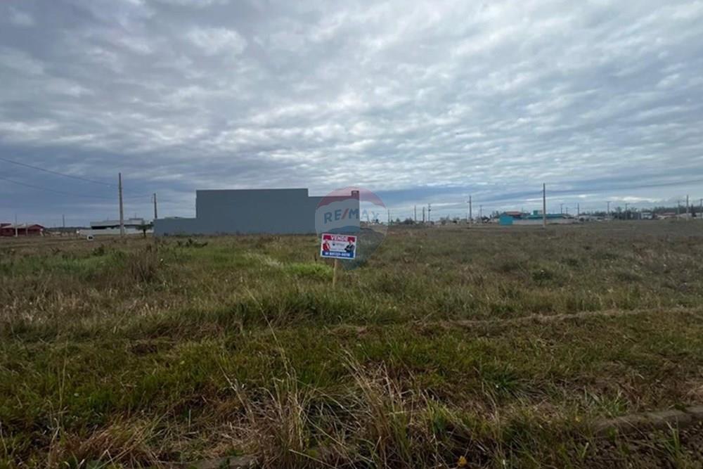 Terreno - Venda - Balneário Gaivota , Santa Catarina - WhatsApp Image 2025-06-15 at 16.15.00.jpeg - 590491009-3