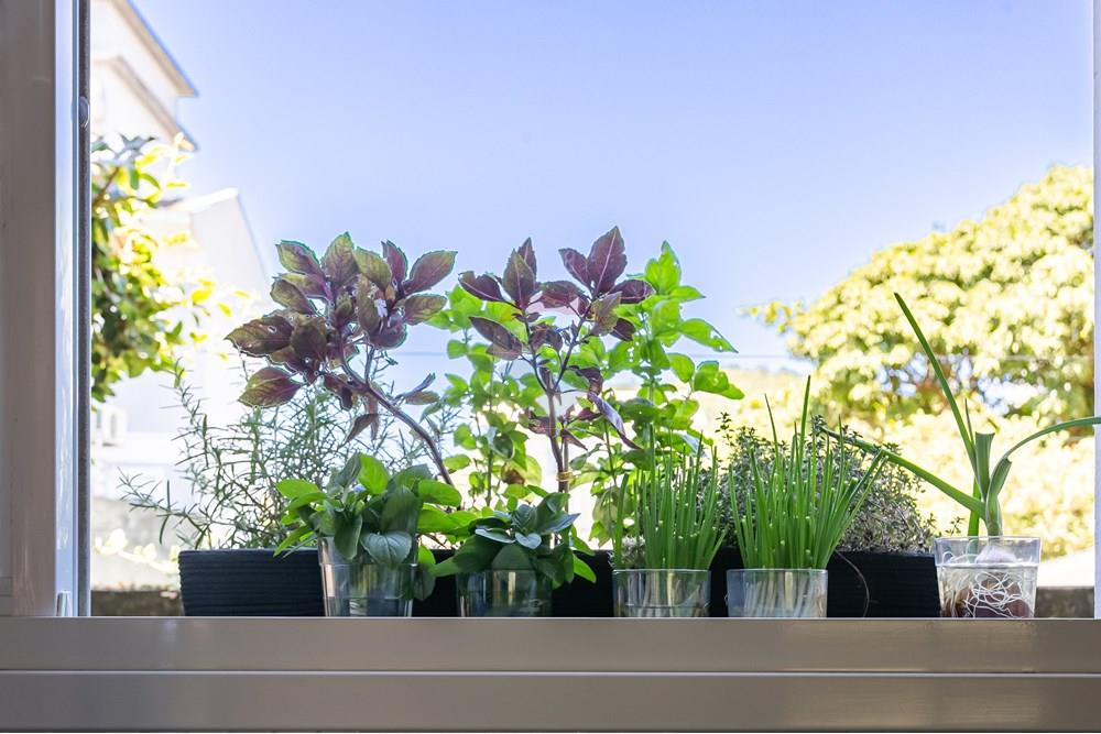 Casa - Venda - Florianópolis , Santa Catarina - web7G8A5739-HDR.jpg - 590101001-65