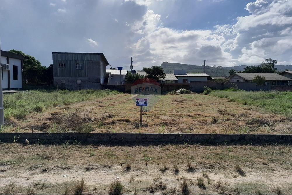 Terreno - Venda - Santa Rosa do Sul , Santa Catarina - 20250409_145403.jpg - 590491005-3