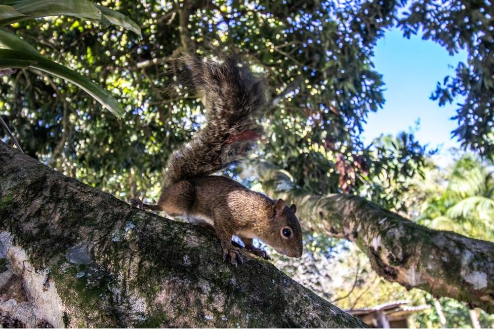 Residential - بيت مستقل - Indaial , Santa Catarina - BR - WhatsApp Image 2025-09-10 at 20.39.54 (1).jpeg - 590211017-156