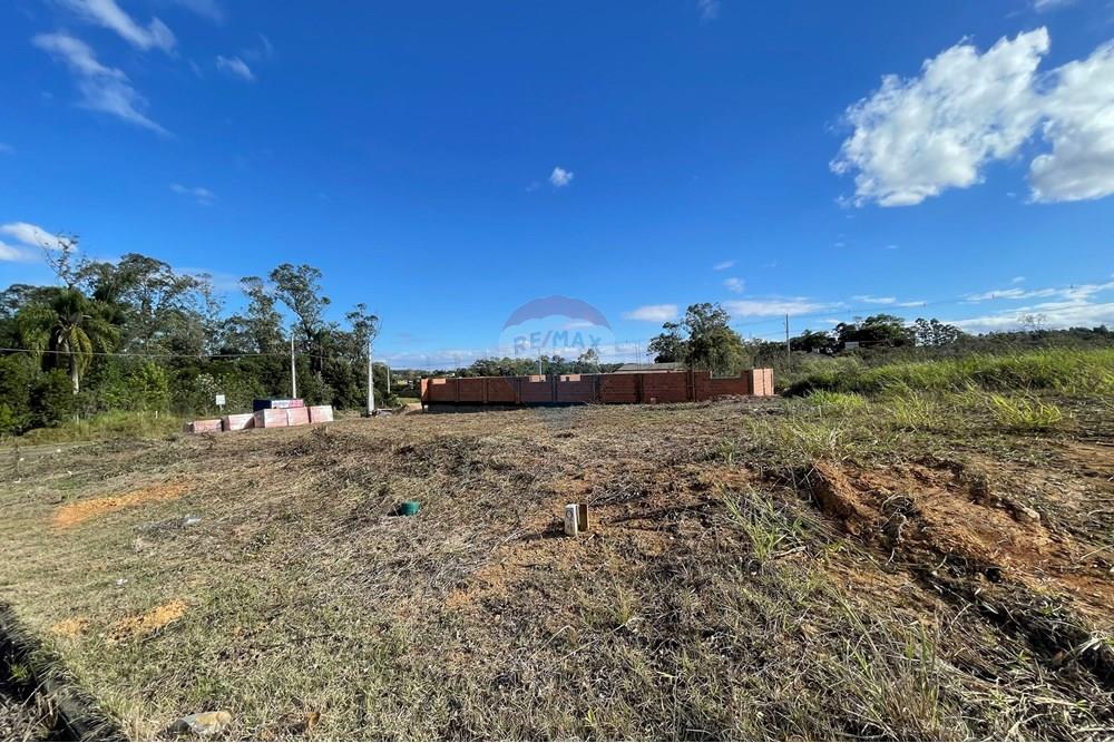 Terreno - Venda - Criciúma , Santa Catarina - IMG_6518.JPG - 590311026-27