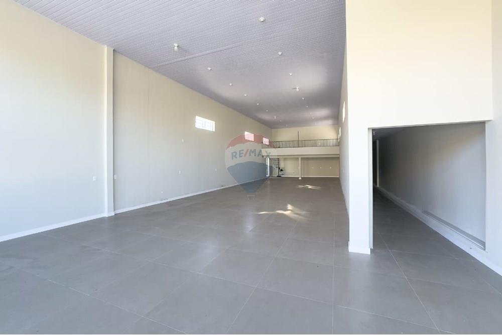 Casa - Alugar - Criciúma , Santa Catarina - WhatsApp Image 2025-10-29 at 07.57.59.jpeg - 590311013-157