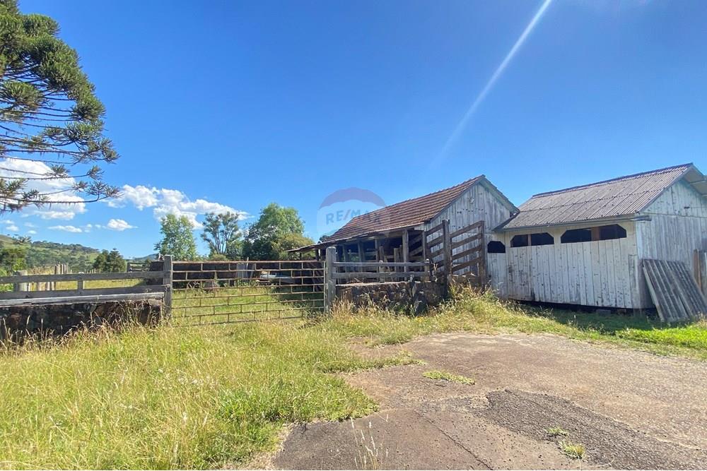 Chácara / Sítio / Fazenda - Venda - Painel , Santa Catarina - IMG_8244.JPG - 590071044-22