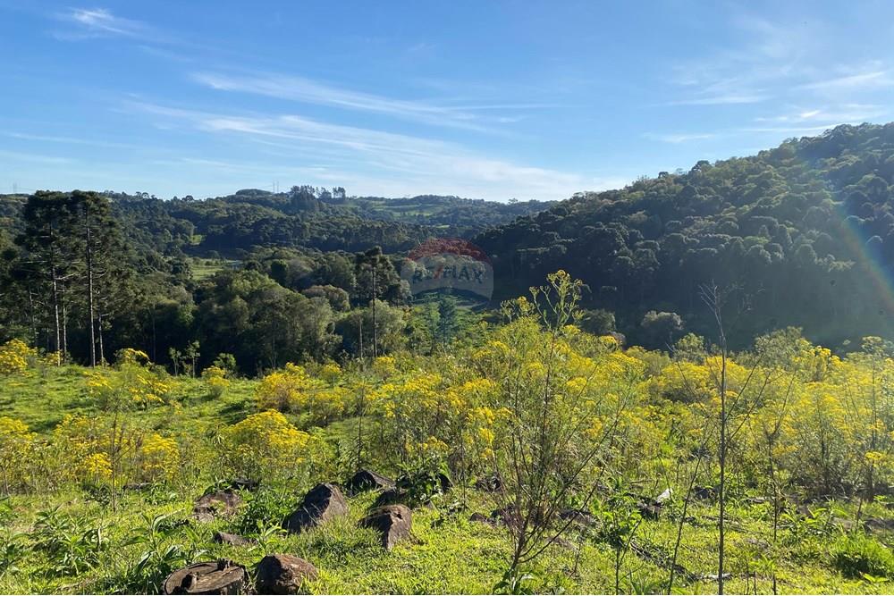 Chácara / Sítio / Fazenda - Venda - São José do Cerrito , Santa Catarina - IMG_7956.JPG - 590071044-13