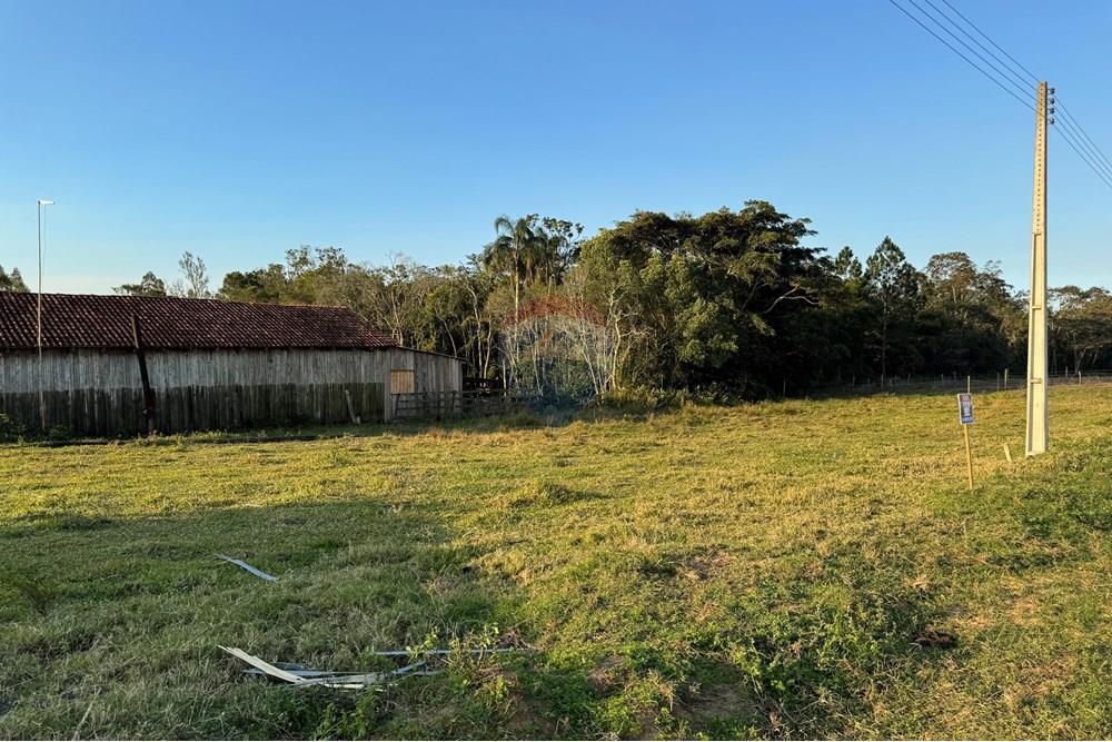 Terreno - Venda - São João do Sul , Santa Catarina - IMG_7386.jpg - 590491012-3