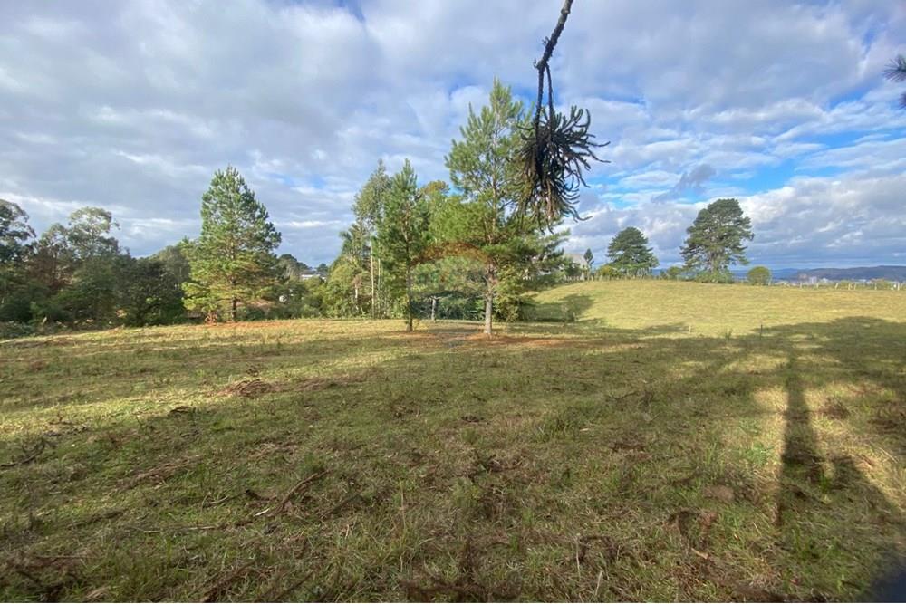 Terreno - Venda - Lages , Santa Catarina - 4c6ab819-3ba9-4b7a-aa3f-358acbde2ded.jpg - 590071041-6