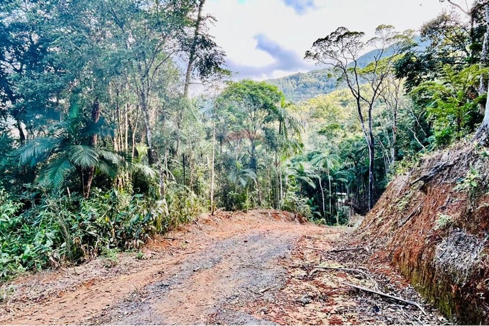 Chácara / Sítio / Fazenda - Venda - Itapema , Santa Catarina - WhatsApp Image 2025-07-14 at 16.25.21 (1).jpeg - 590401053-3