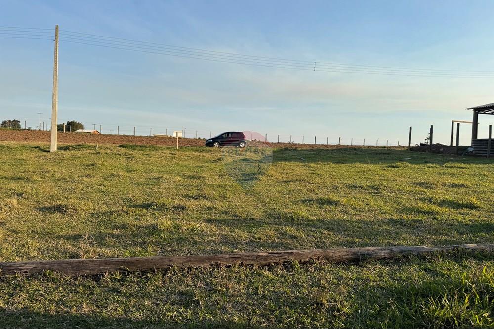 Terreno - Venda - São João do Sul , Santa Catarina - IMG_7395.jpg - 590491012-3