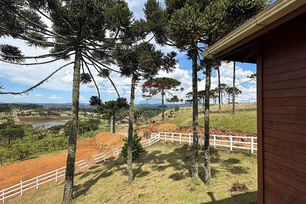 Chácara / Sítio / Fazenda - Venda - Painel , Santa Catarina - IMG_3318.jpg - 590071002-472