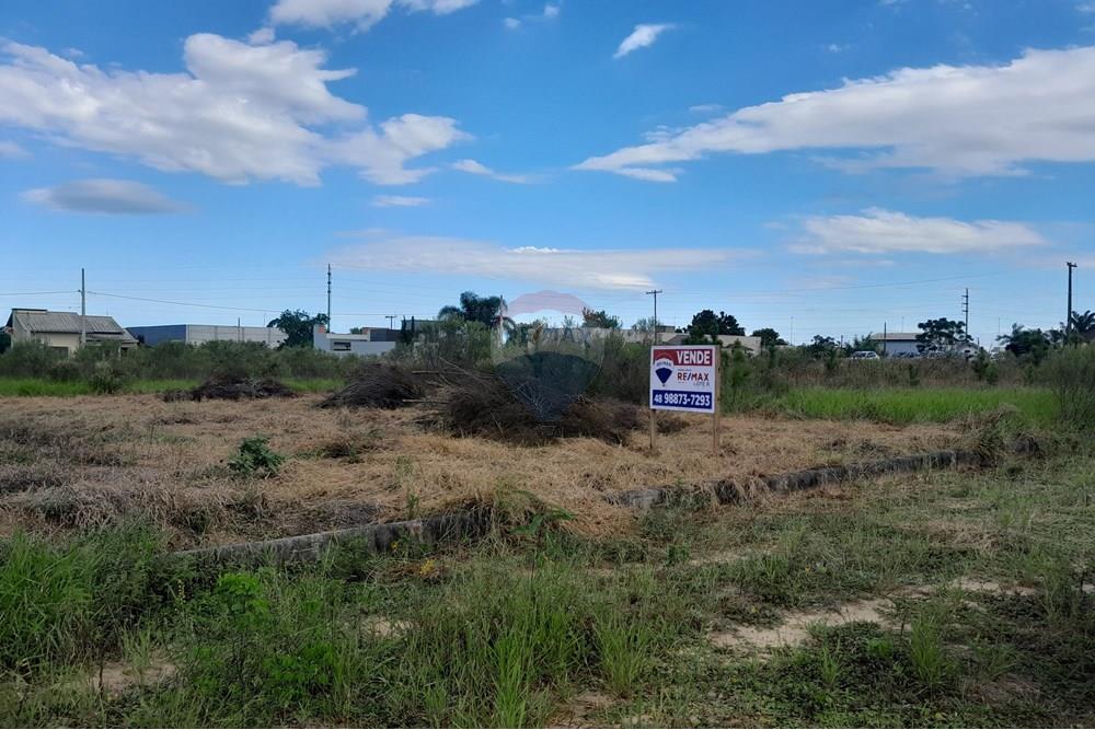 Terreno - Venda - Santa Rosa do Sul , Santa Catarina - 20250409_152140.jpg - 590491005-4