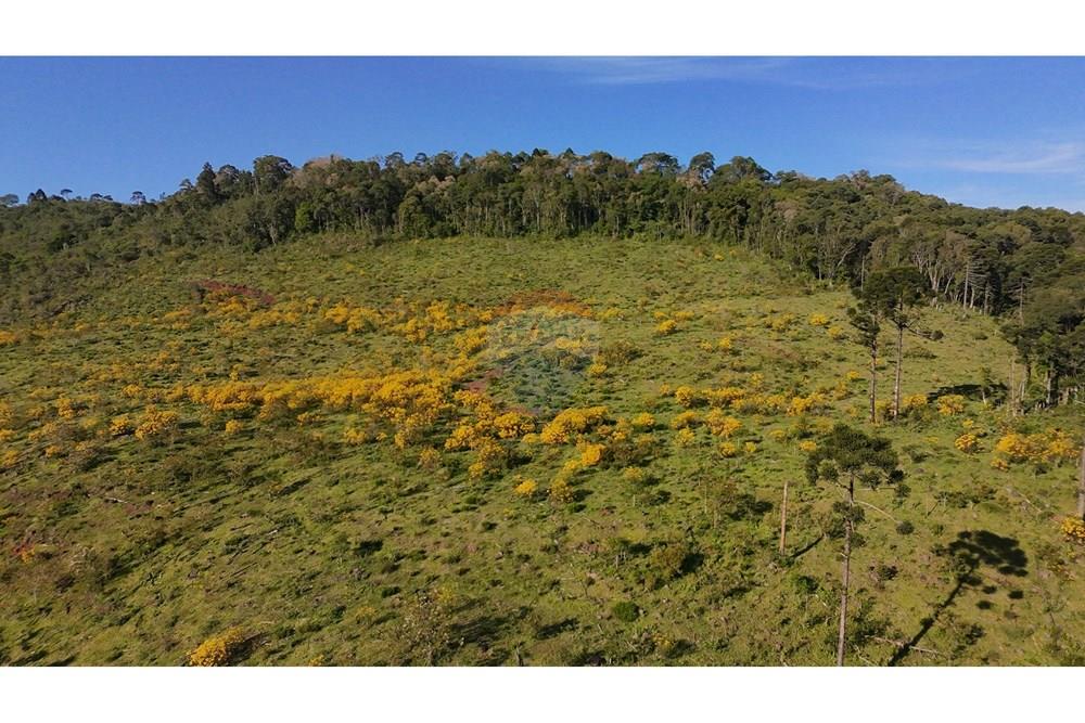 Chácara / Sítio / Fazenda - Venda - São José do Cerrito , Santa Catarina - DJI_20251111164608_0040_D.JPG - 590071044-13