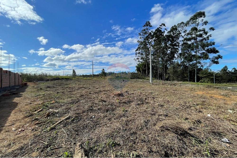 Terreno - Venda - Criciúma , Santa Catarina - IMG_6510.JPG - 590311026-27