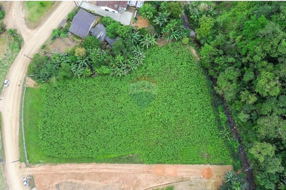 Terreno - Venda - Benedito Novo , Santa Catarina - PHOTO-2025-10-22-16-24-42 (3).jpg - 590211067-7