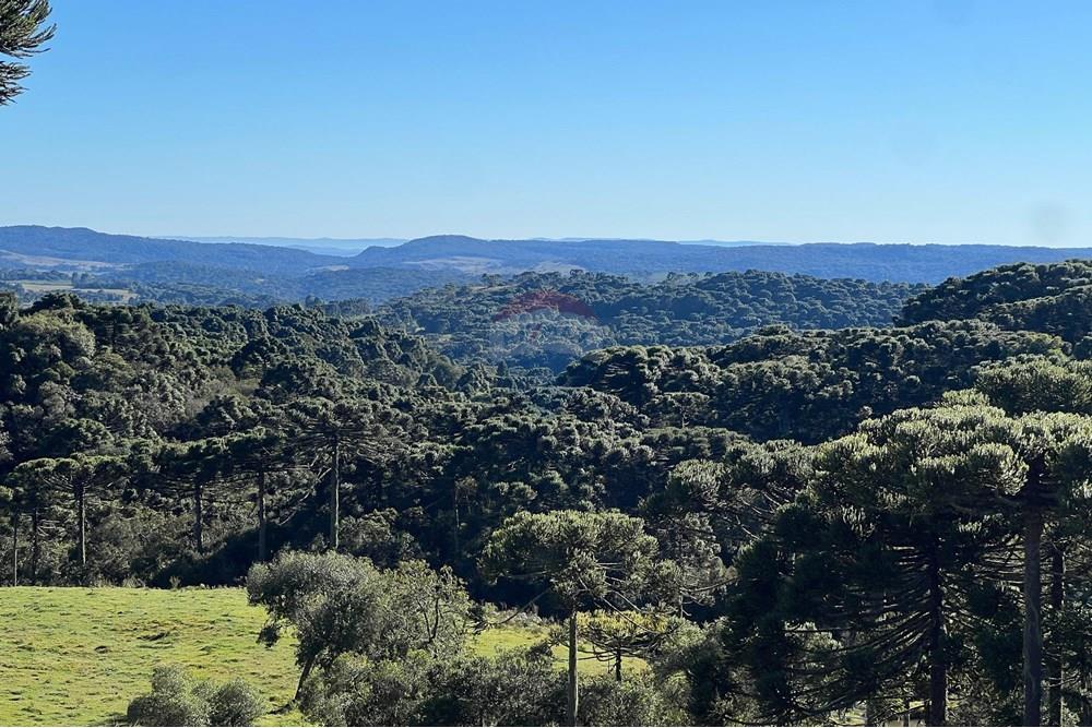 Terreno - Venda - Painel , Santa Catarina - WhatsApp Image 2025-06-11 at 15.16.35 (1).jpeg - 590071003-194