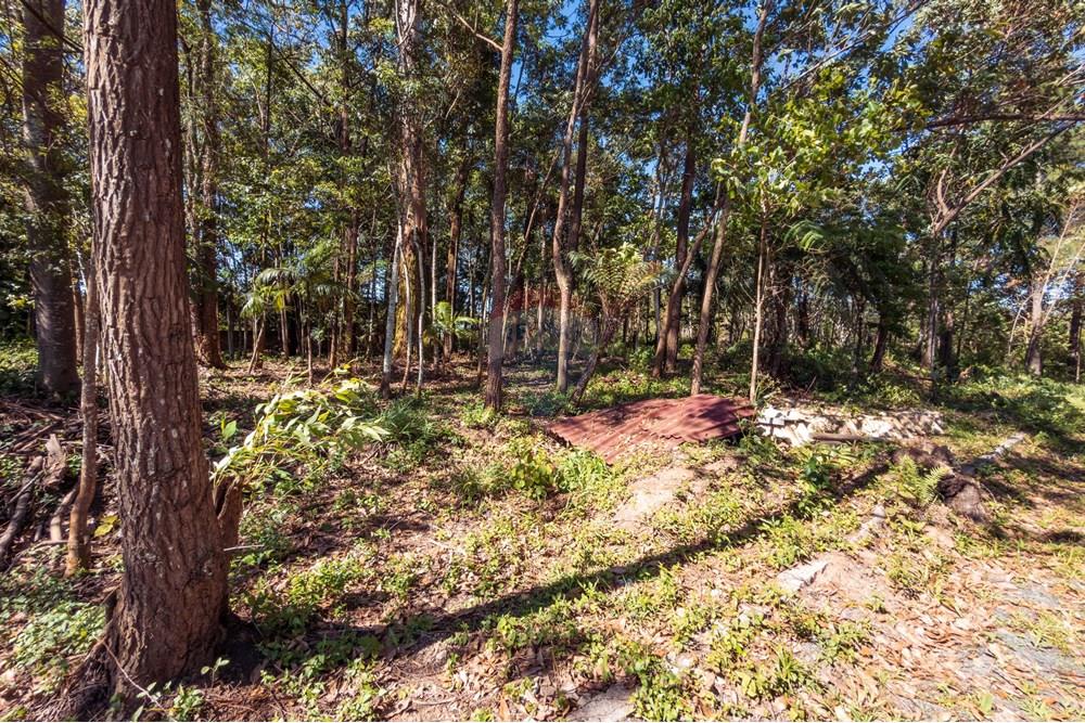 Terreno - Venda - Criciúma , Santa Catarina - IMG_6919.jpg - 590311026-43