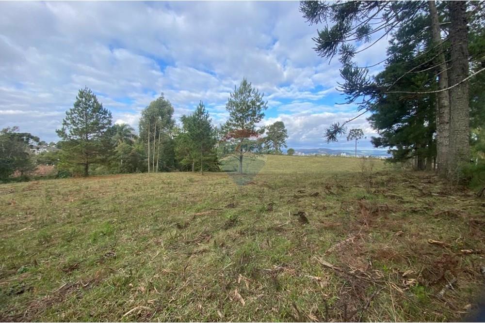 Terreno - Venda - Lages , Santa Catarina - 5ee127e9-3be5-484c-b45e-eabcb6b14847.jpg - 590071041-15