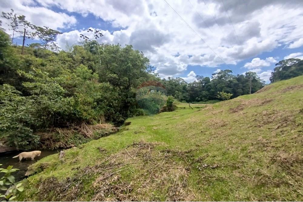 Chácara / Sítio / Fazenda - Venda - Pomerode , Santa Catarina - WhatsApp Image 2026-01-06 at 16.39.15 (1).jpeg - 590301027-111