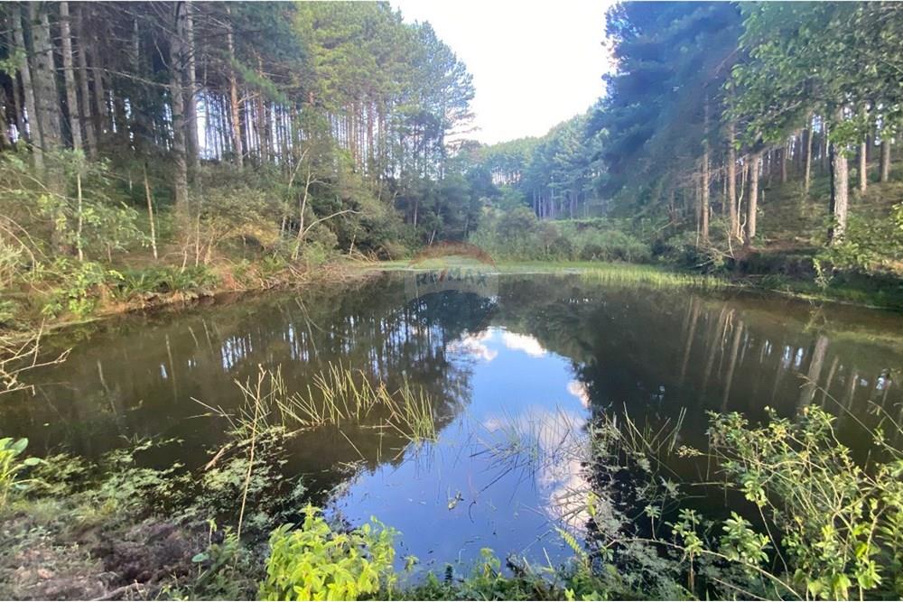 Chácara / Sítio / Fazenda - Venda - Lages , Santa Catarina - WhatsApp Image 2025-07-08 at 16.18.14 (2).jpeg - 590071044-14