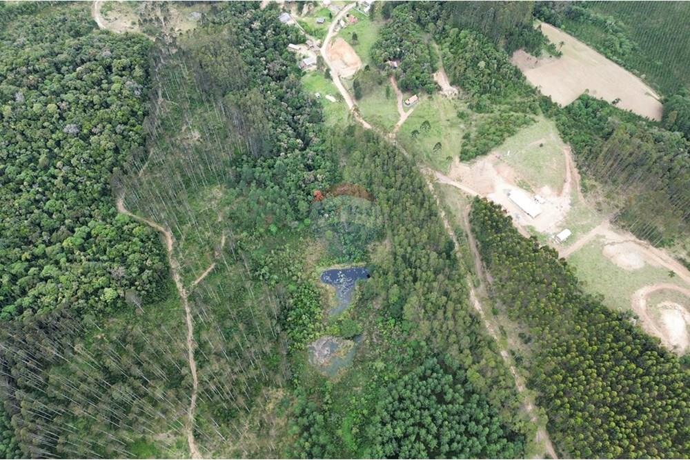 Terreno - Venda - Rio dos Cedros , Santa Catarina - IMG-20251017-WA0037.jpg - 590211067-4